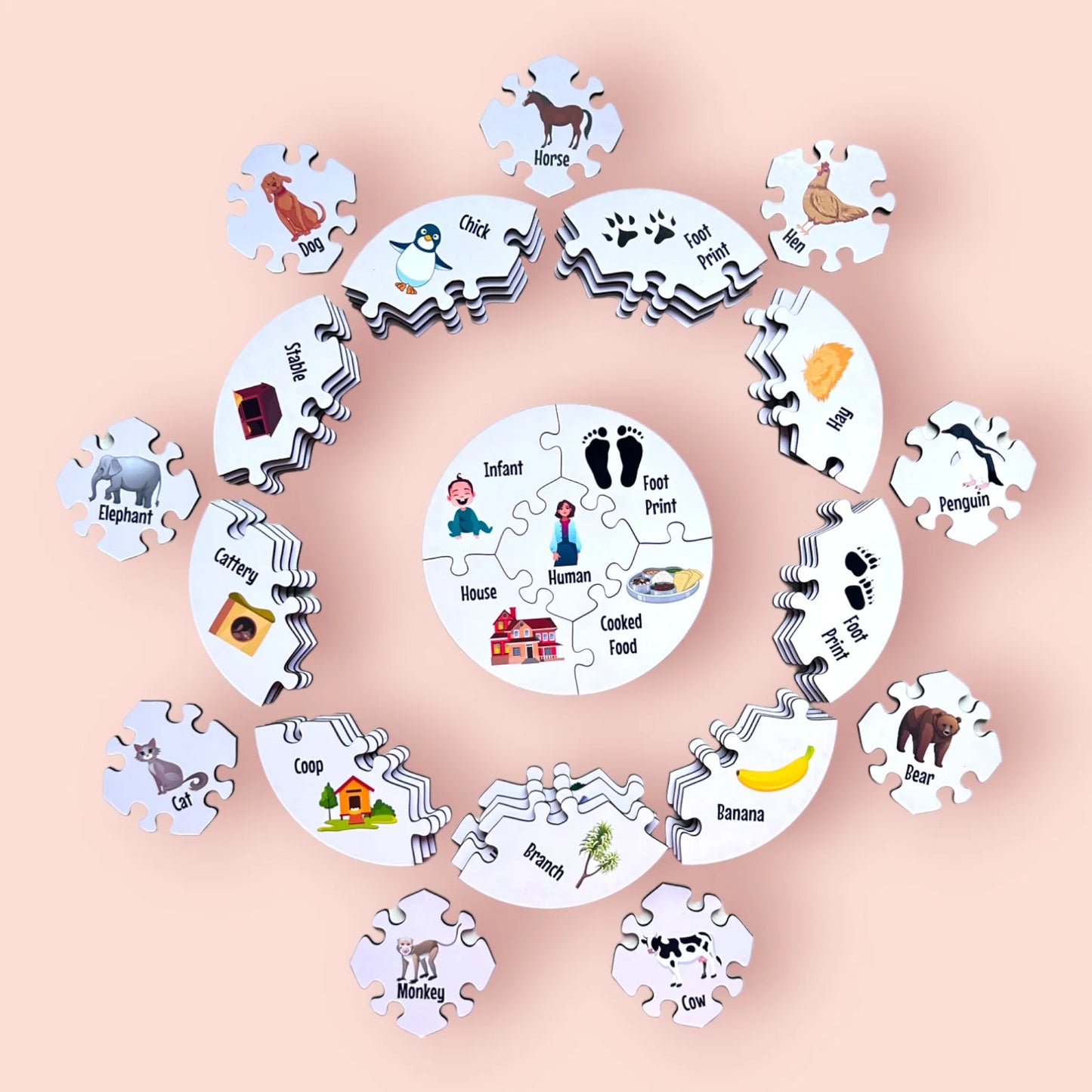 Creature Connections Puzzle
