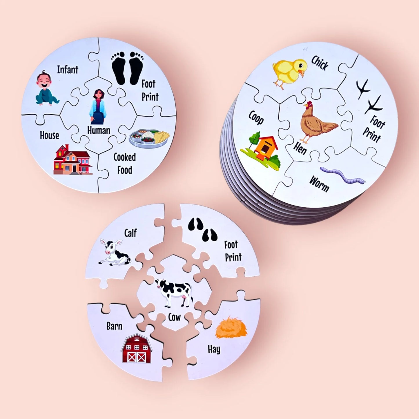 Creature Connections Puzzle