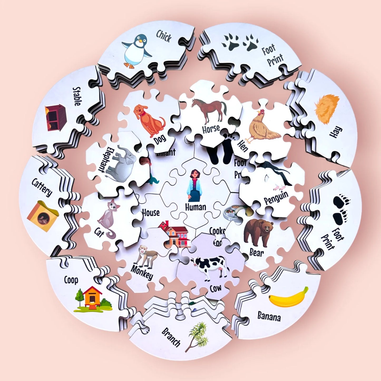 Creature Connections Puzzle