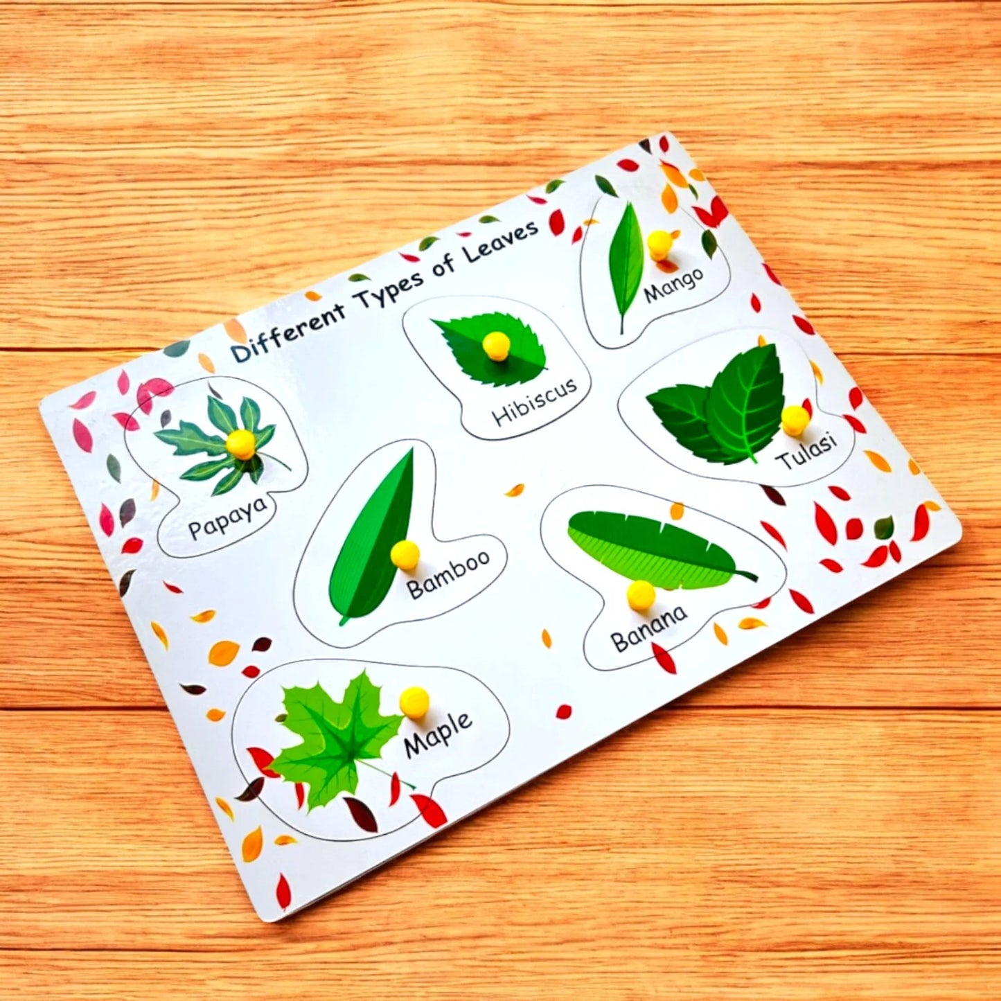 Different Types of Leaves