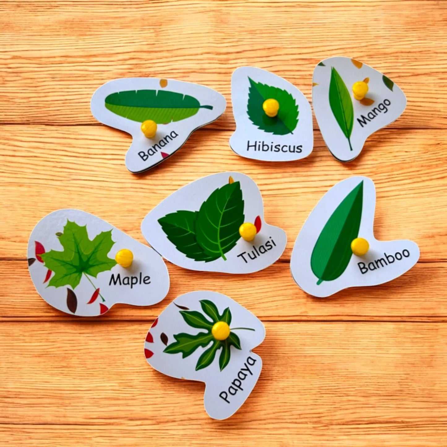 Different Types of Leaves