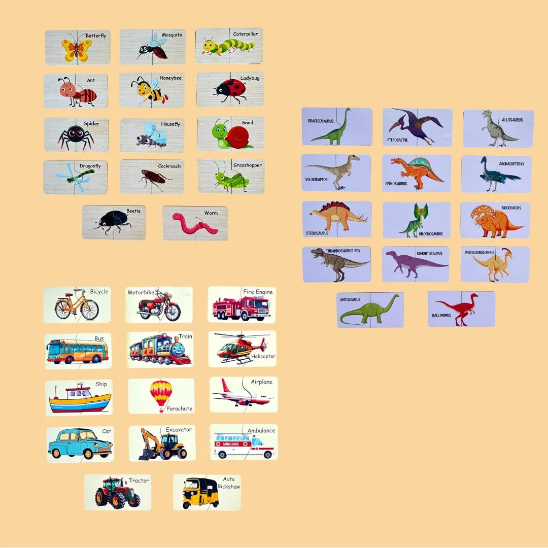 Insect, Dinosaur, Transport Combo Kit