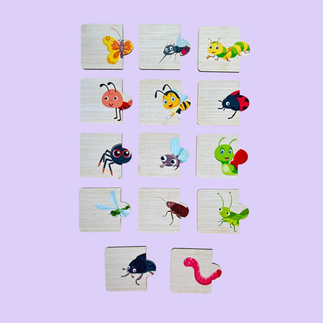 Insect, Dinosaur, Transport Combo Kit