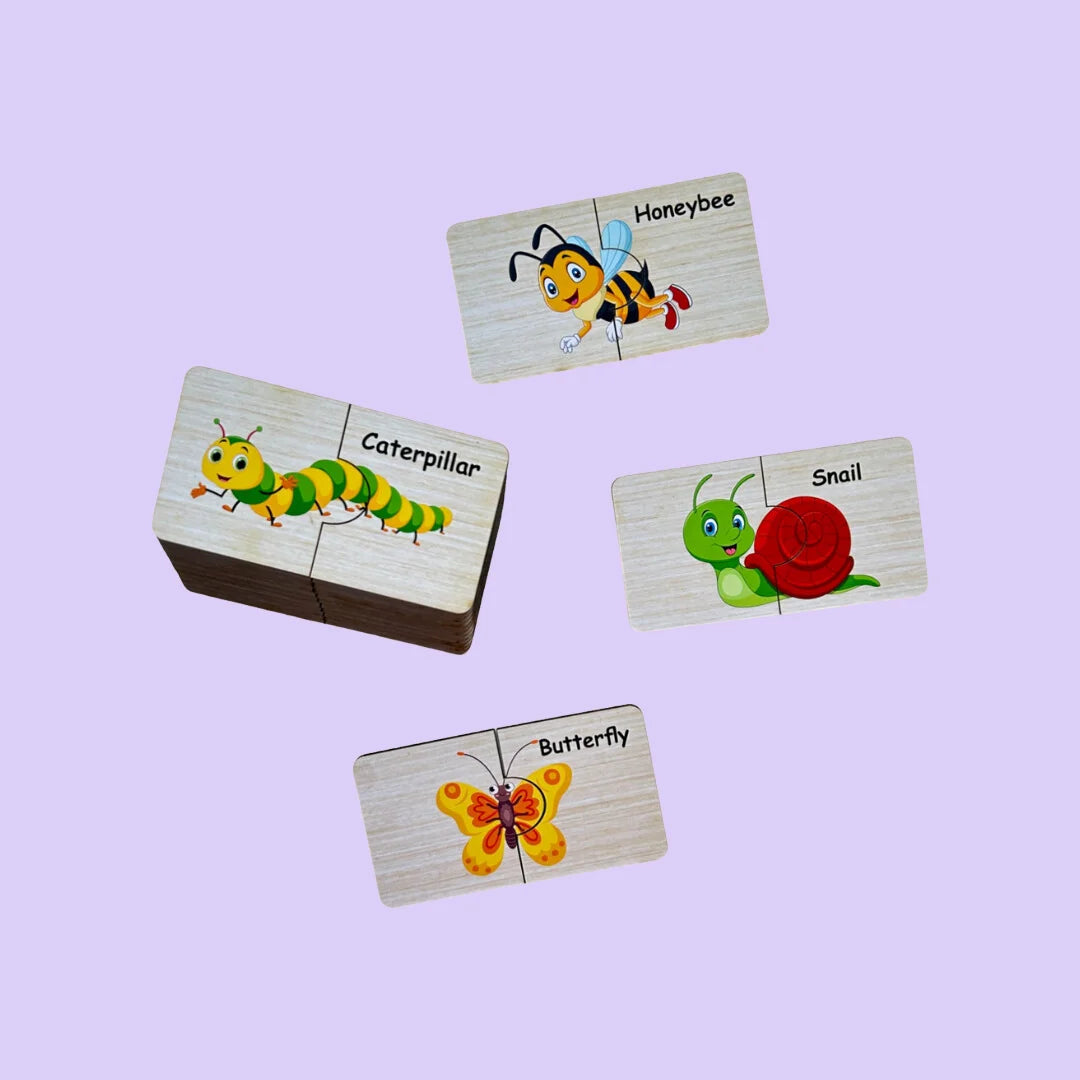 Insect, Dinosaur, Transport Combo Kit
