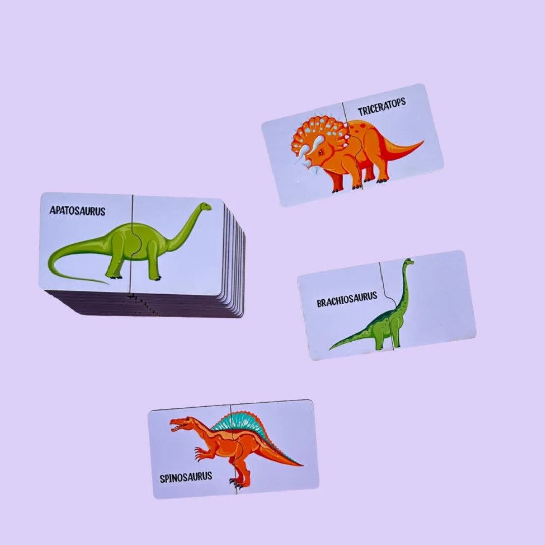 Insect, Dinosaur, Transport Combo Kit