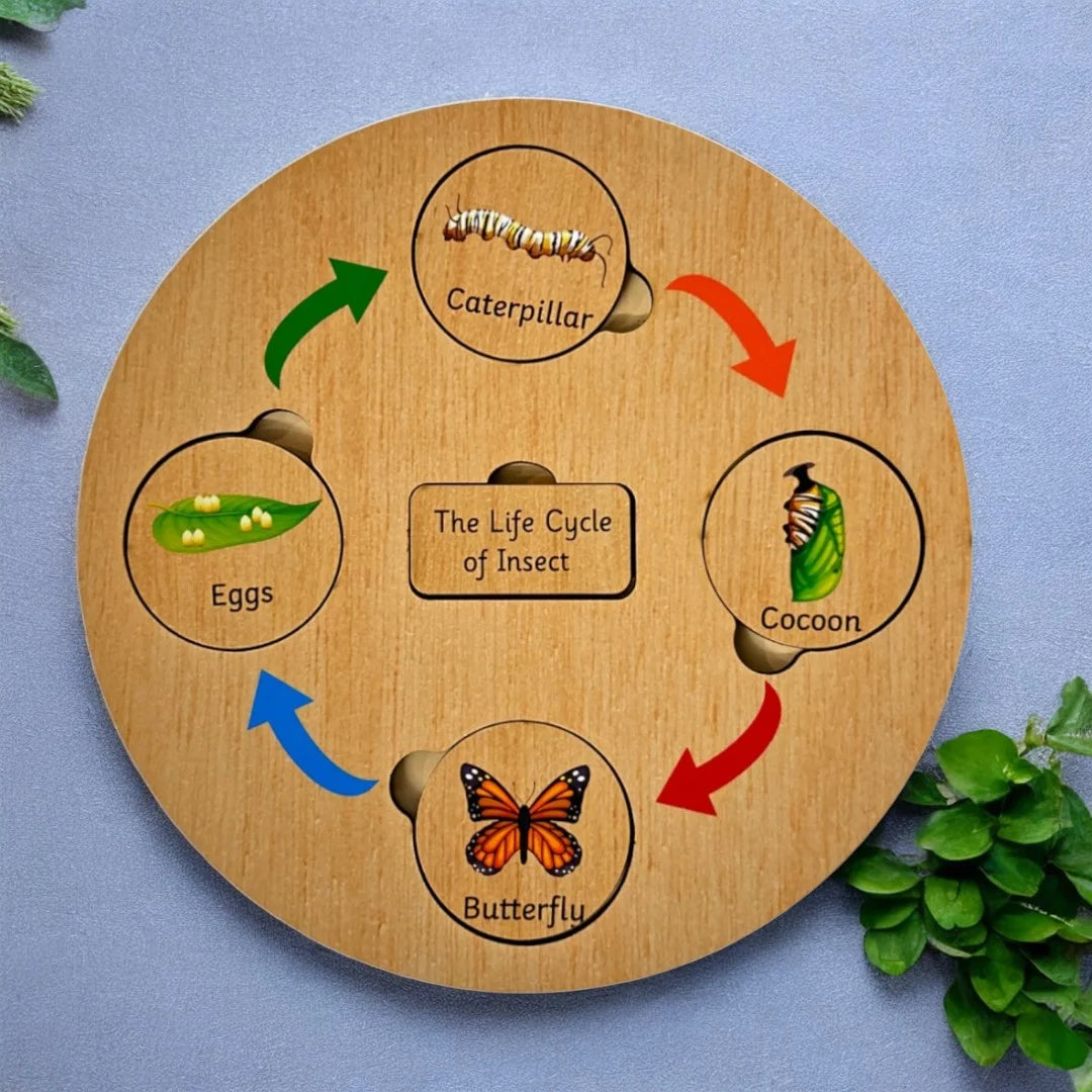 Life Cycle Board