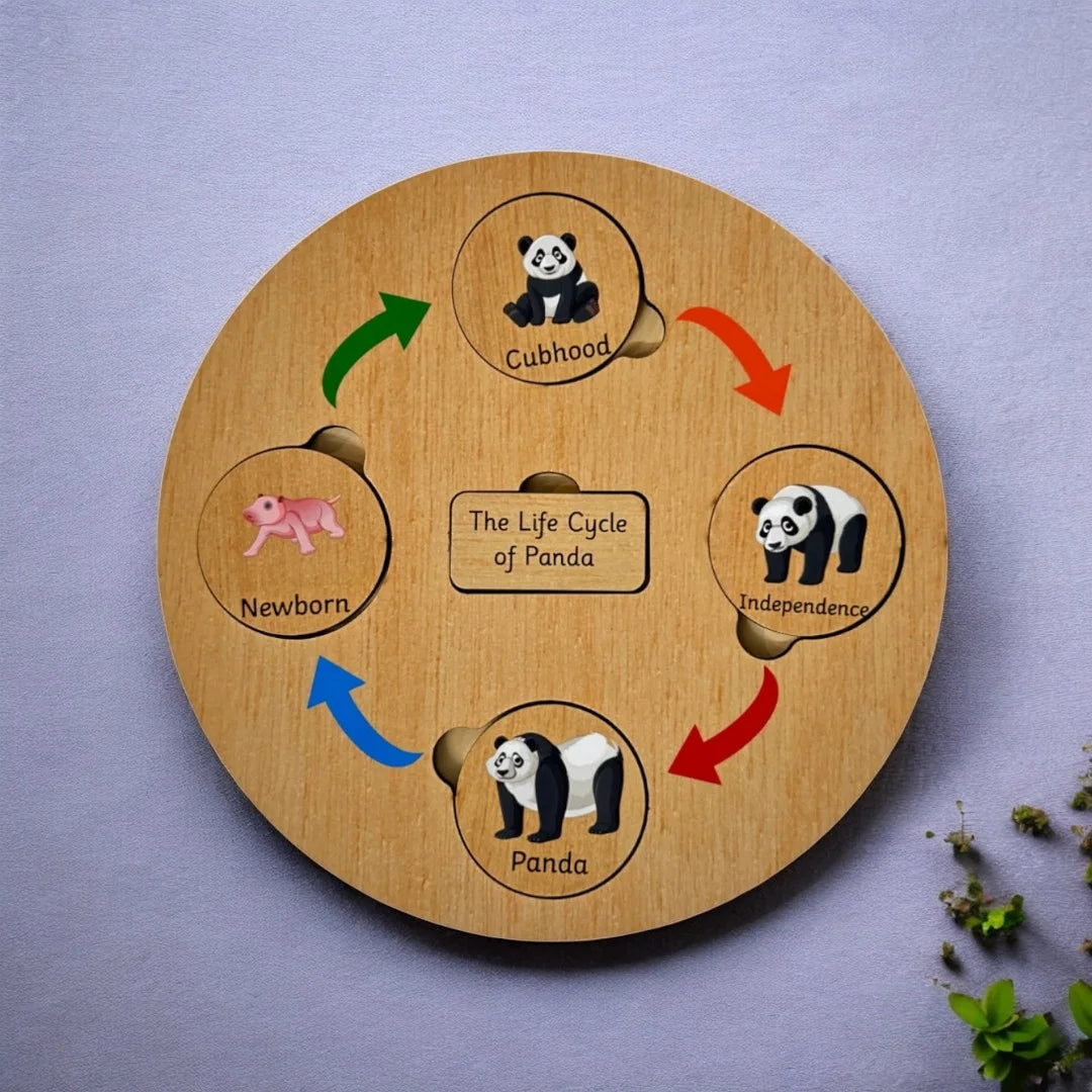 Life Cycle Board