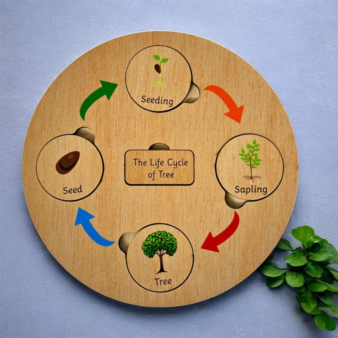 Life Cycle Board