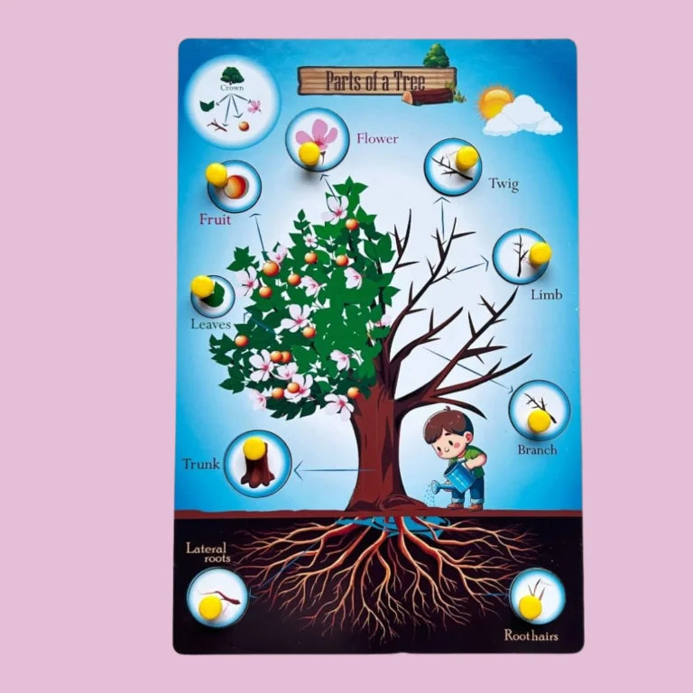 Parts of a Tree & Plant Combo Kit