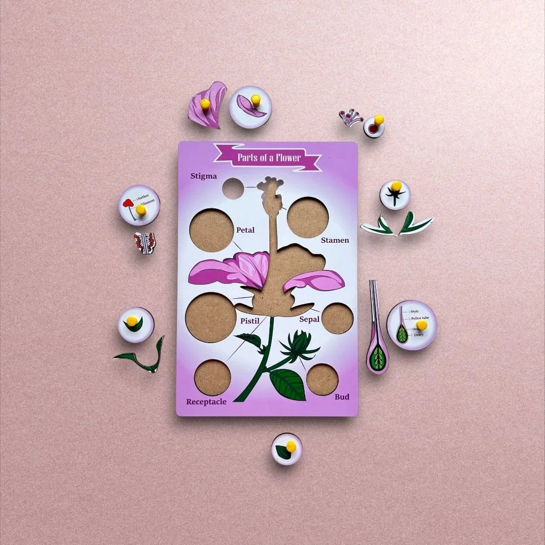 Parts of a Flower