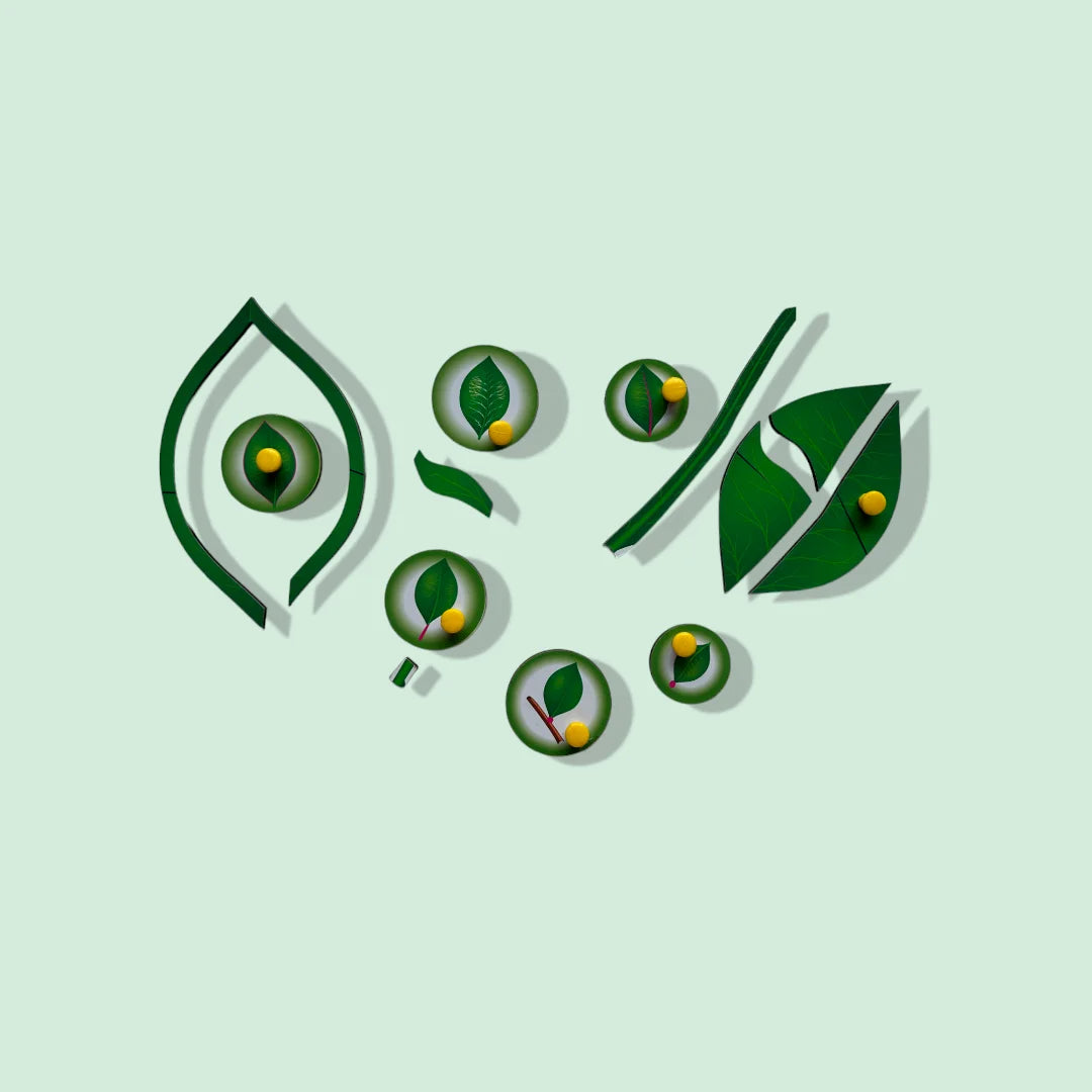 Parts of a Leaf