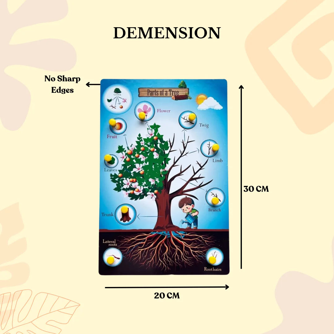 Parts of a Tree
