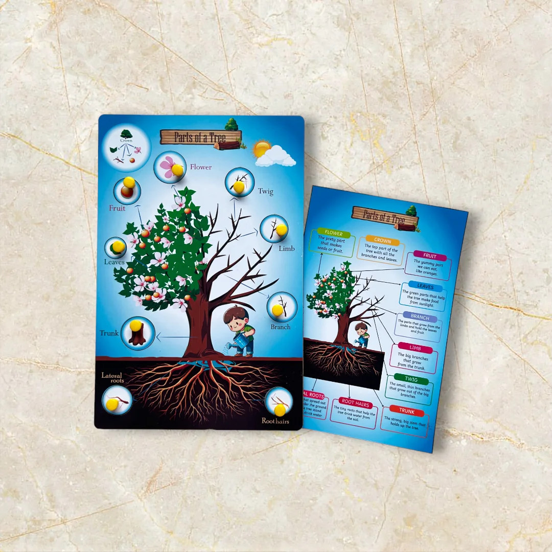 Parts of a Tree