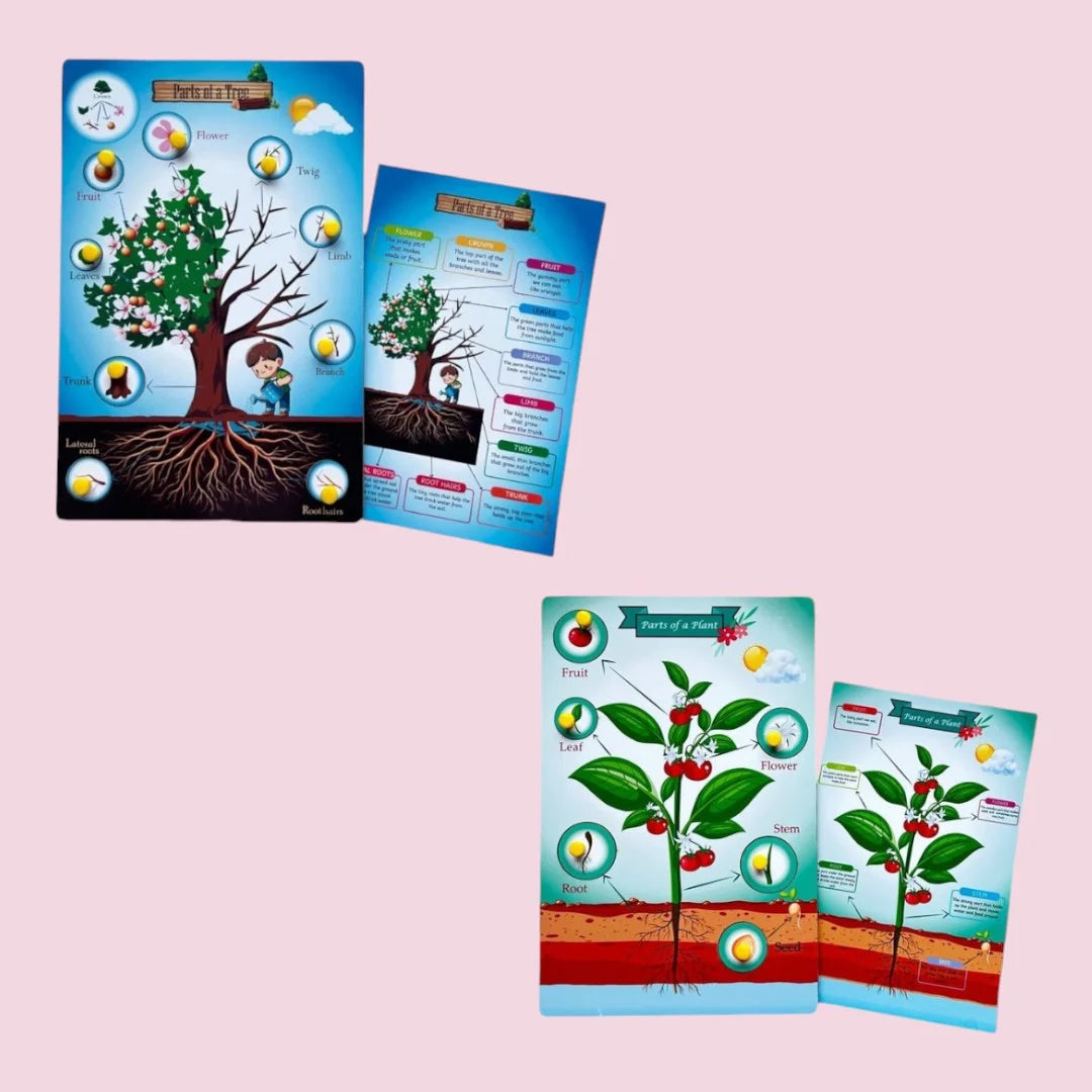 Parts of a Tree & Plant Combo Kit