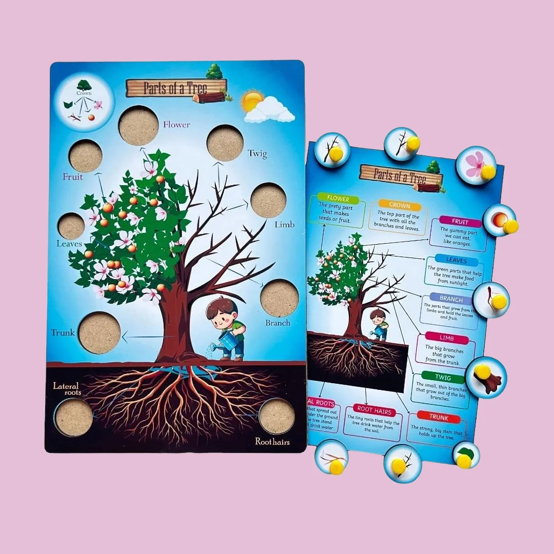 Parts of a Tree, Plant, Flower, Leaf Combo Kit
