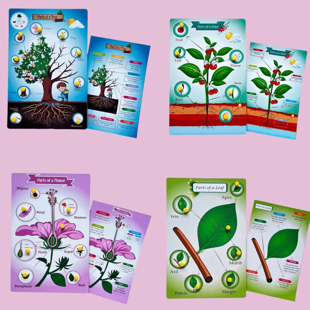 Parts of a Tree, Plant, Flower, Leaf Combo Kit