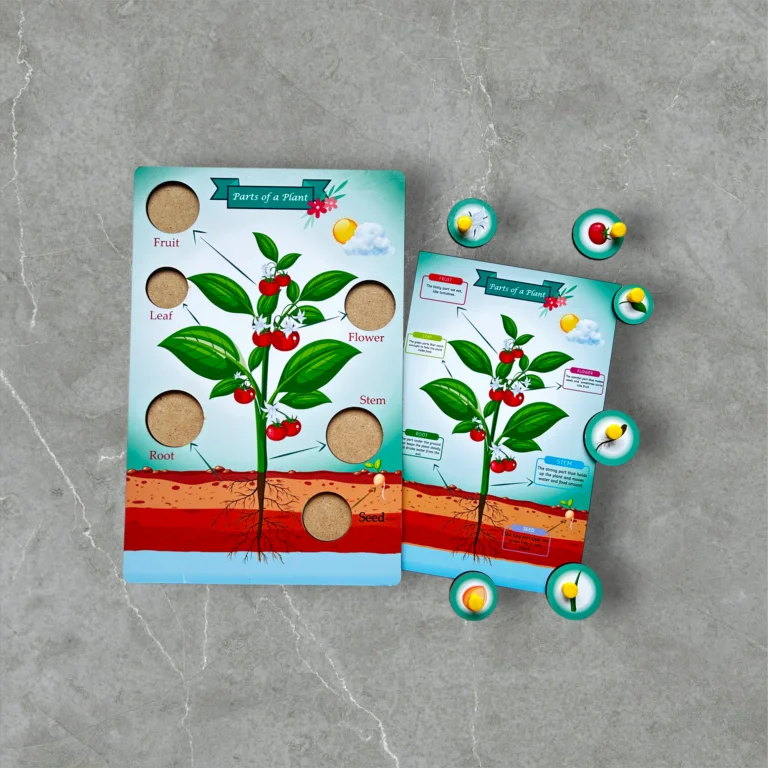 Parts of a plant