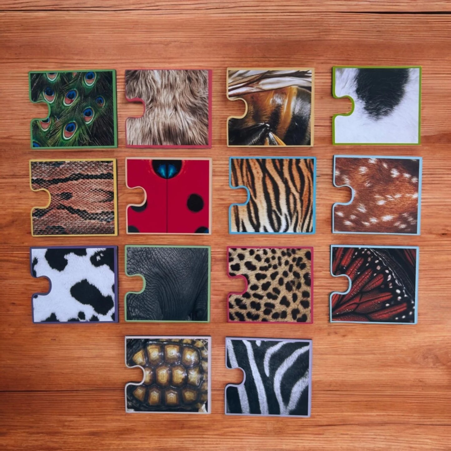 Spot The Match-Animal Pattern And Shadow Combo