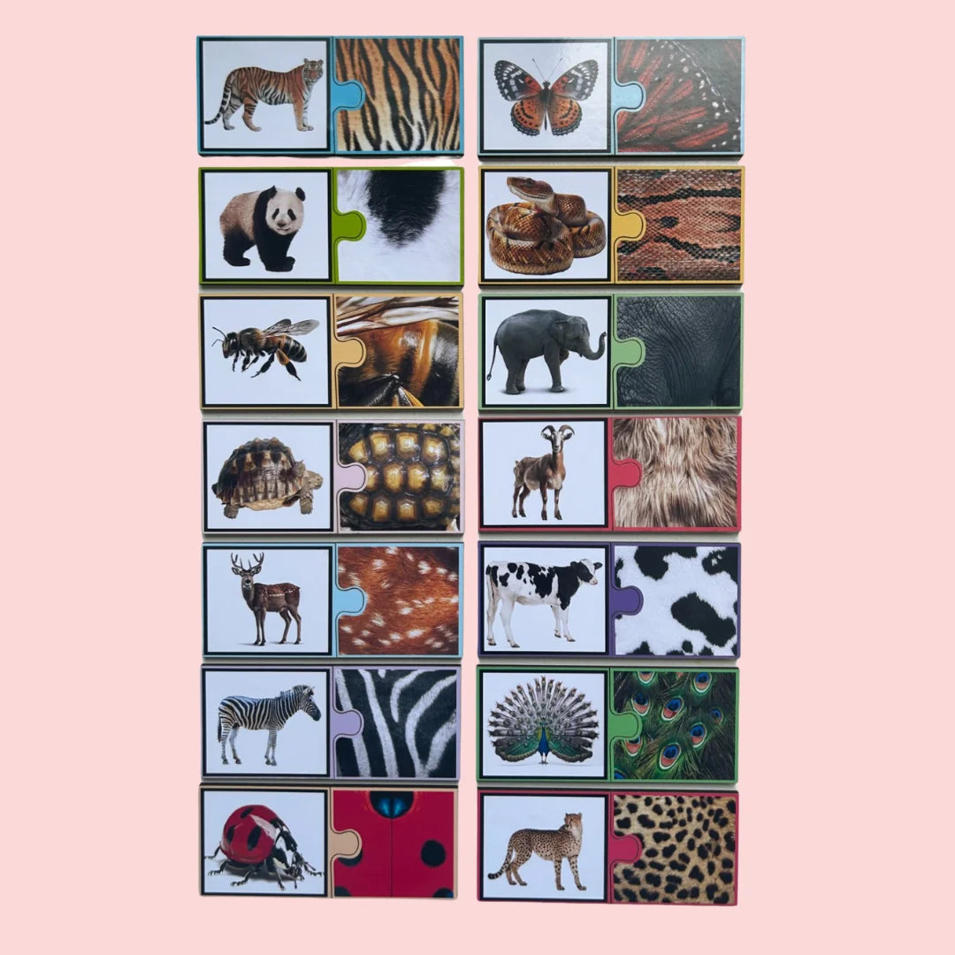 Spot The Match-Animal Pattern Puzzle