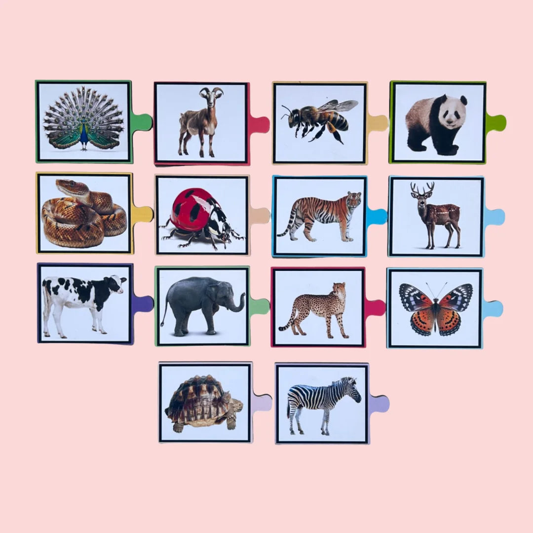 Spot The Match-Animal Pattern Puzzle