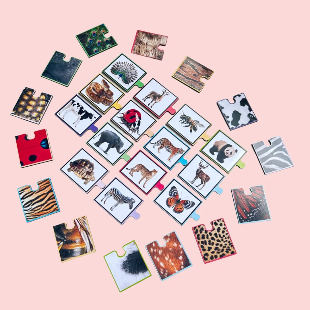 Spot The Match-Animal Pattern Puzzle