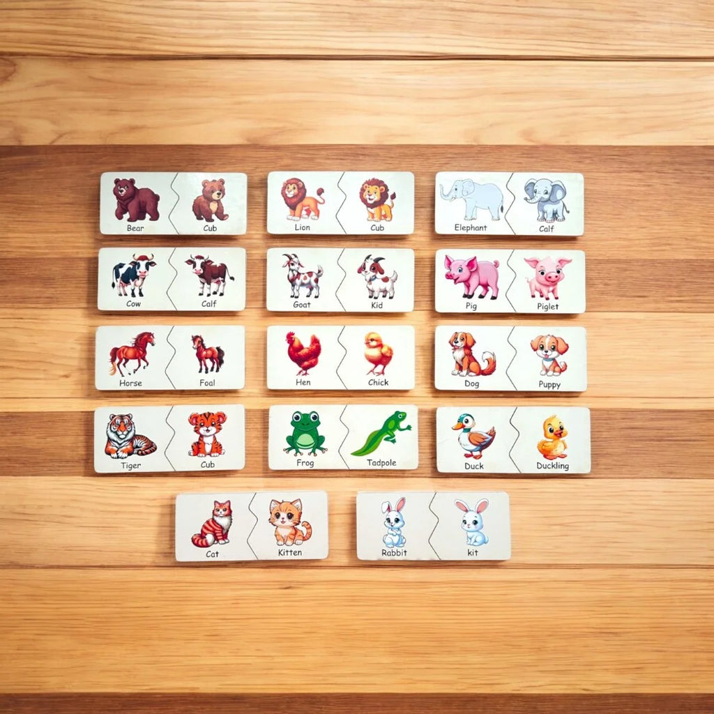 Animals and Their Homes and Babies Combo kit