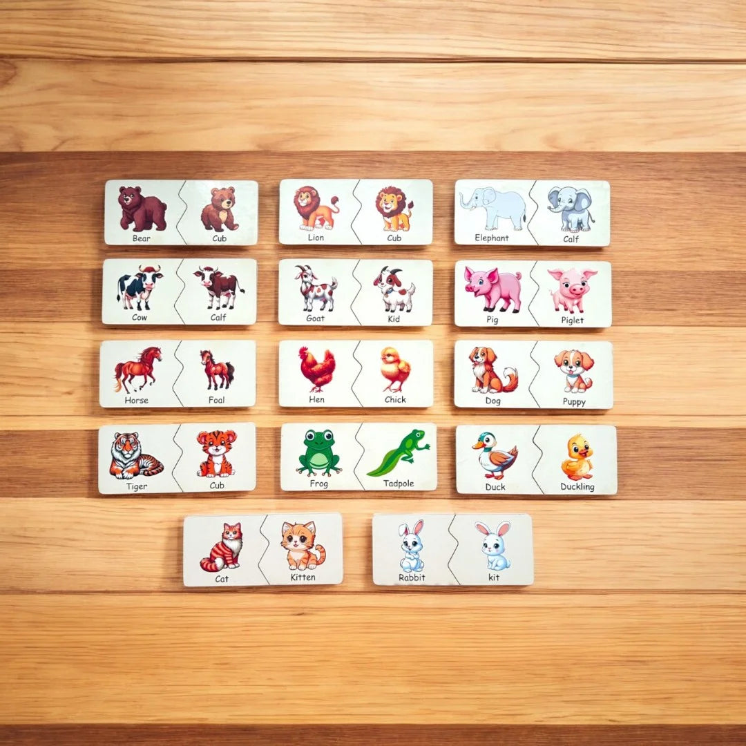 Animals and Their Homes and Babies Combo kit