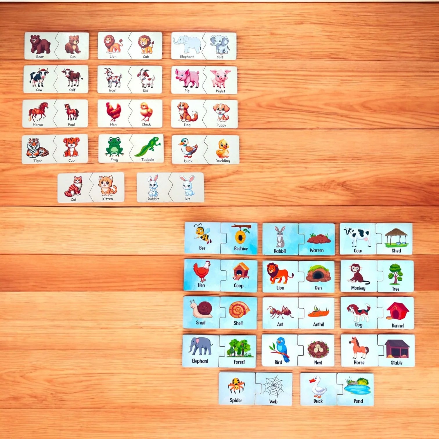 Animals and Their Homes and Babies Combo kit