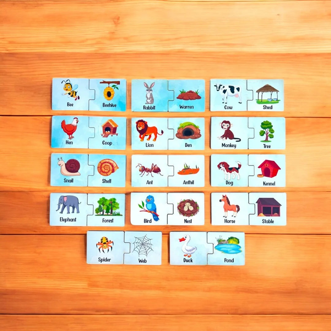 Animals and Their Homes and Babies Combo kit