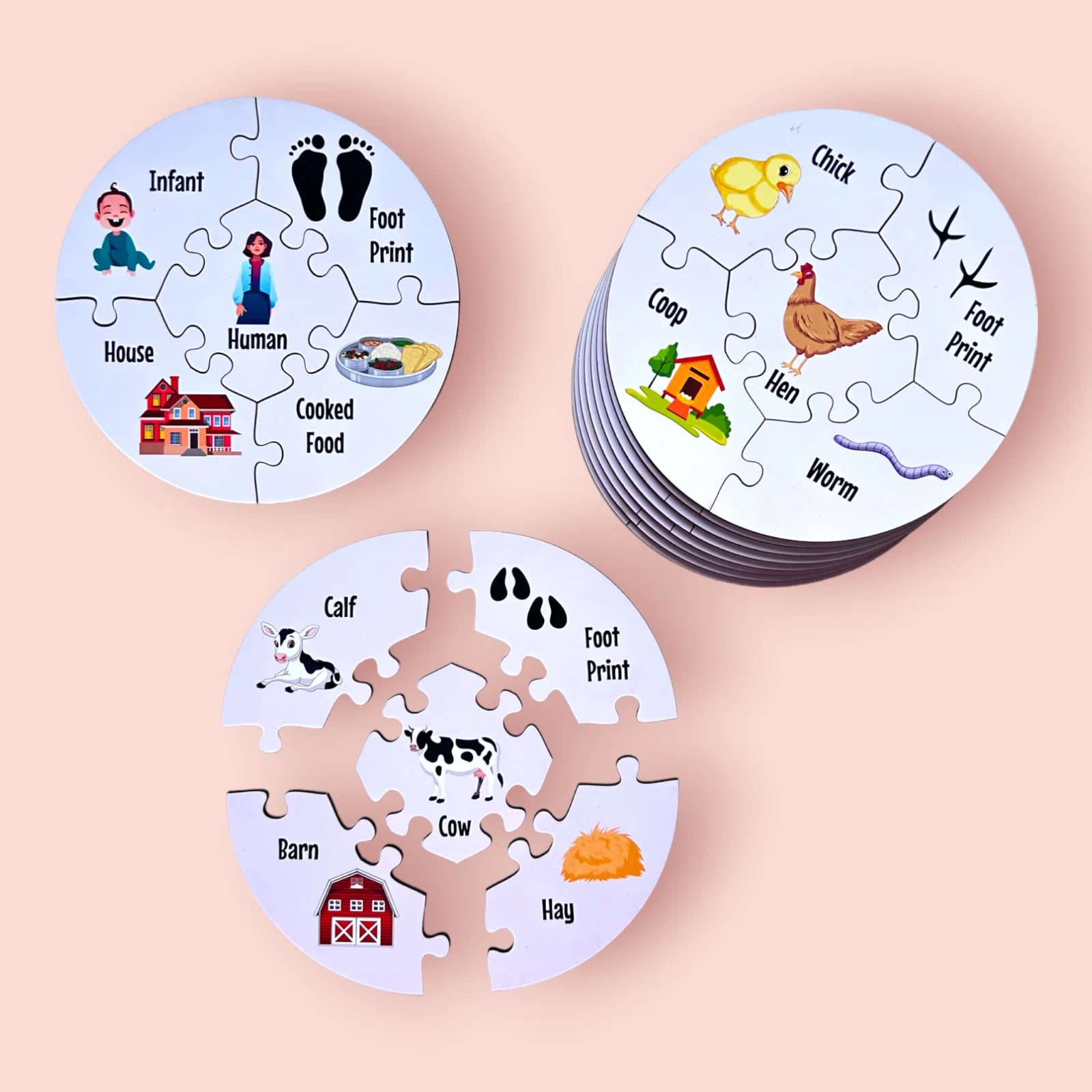 Creature Connections Puzzle