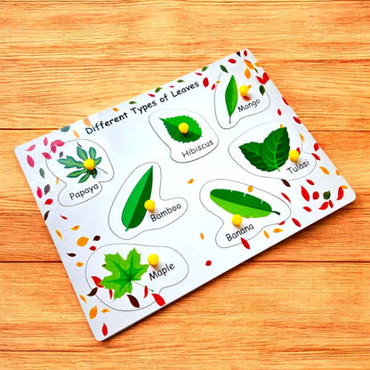 Different Types of Leaves