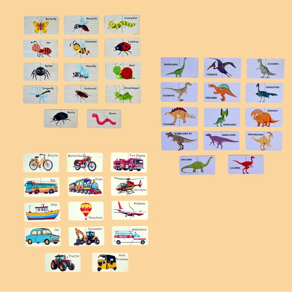 Insect, Dinosaur, Transport Combo Kit