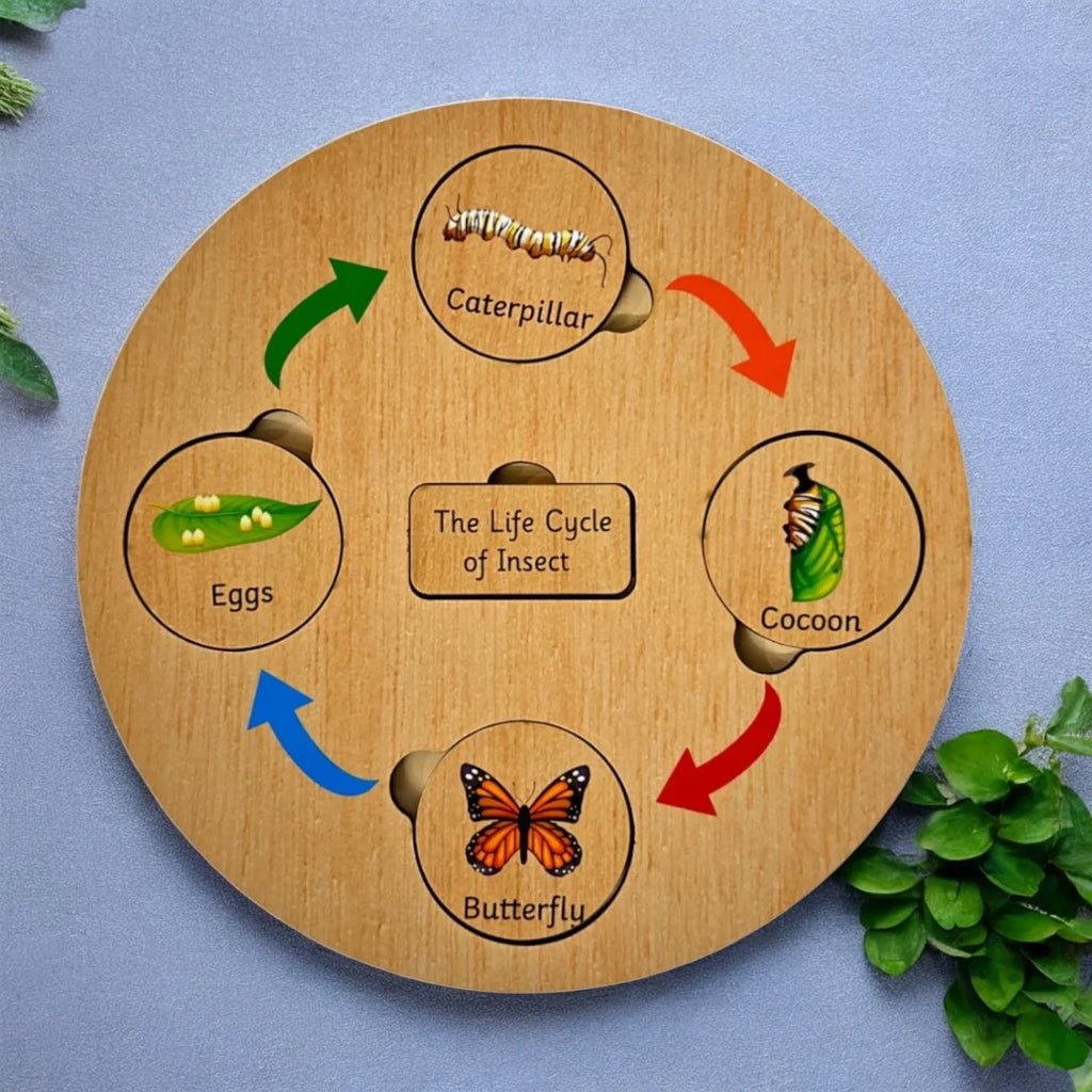 Life Cycle Board