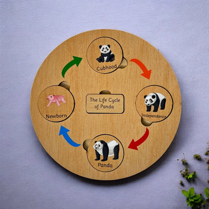 Life Cycle Board