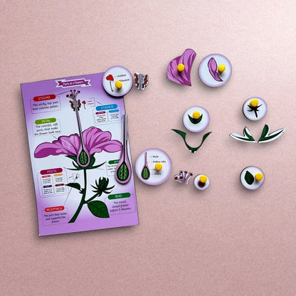 Parts of a Flower