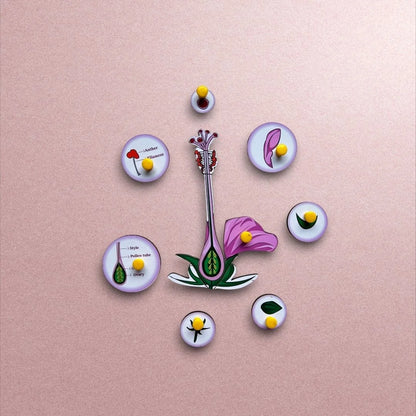 Parts of a Flower