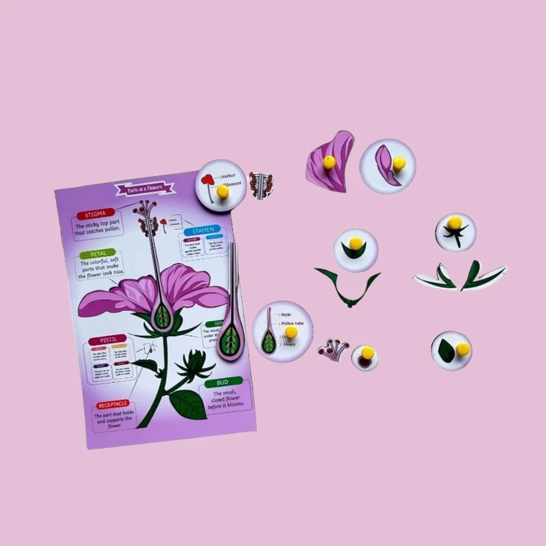 Parts of a Flower & Leaf Combo Kit