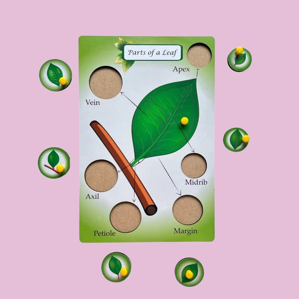 Parts of a Flower & Leaf Combo Kit