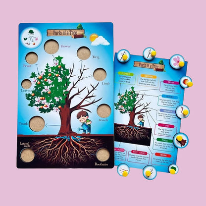 Parts of a Tree, Plant, Flower, Leaf Combo Kit