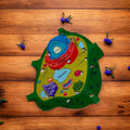 Plant Cell Model