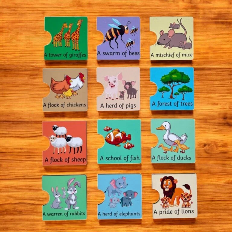 Singular Plural Collective Noun Puzzle