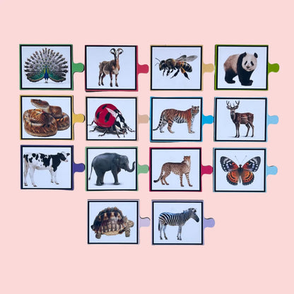 Spot The Match-Animal Pattern Puzzle
