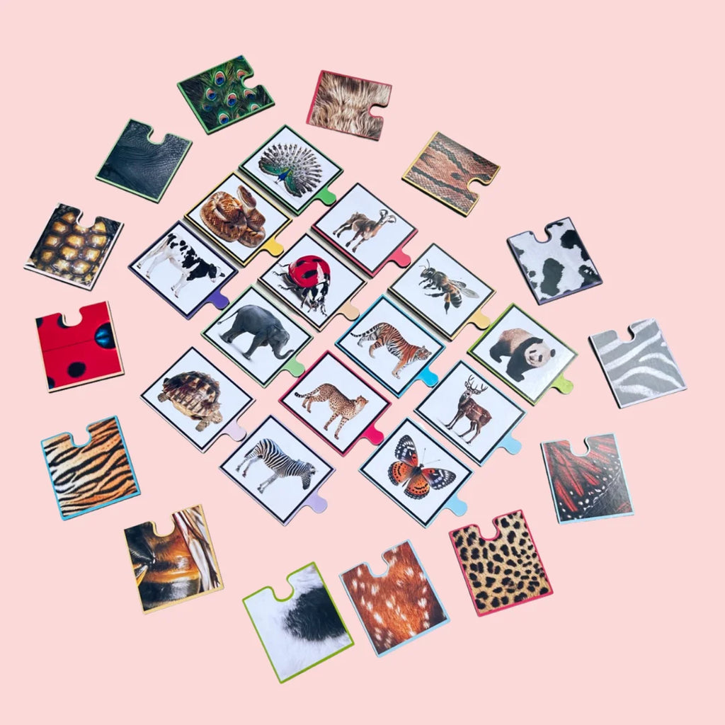 Spot The Match-Animal Pattern Puzzle