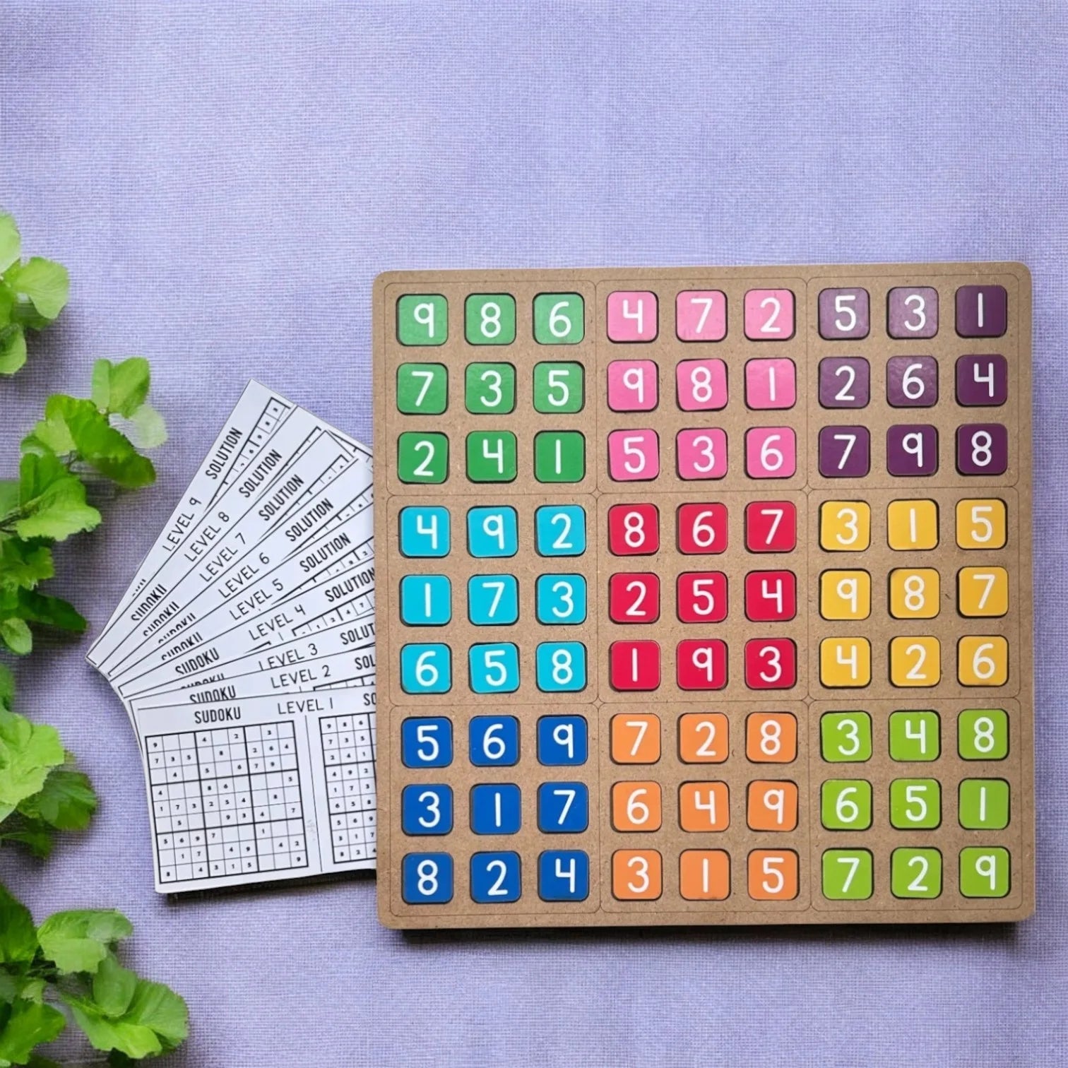 Sudoku 9x9 Puzzle