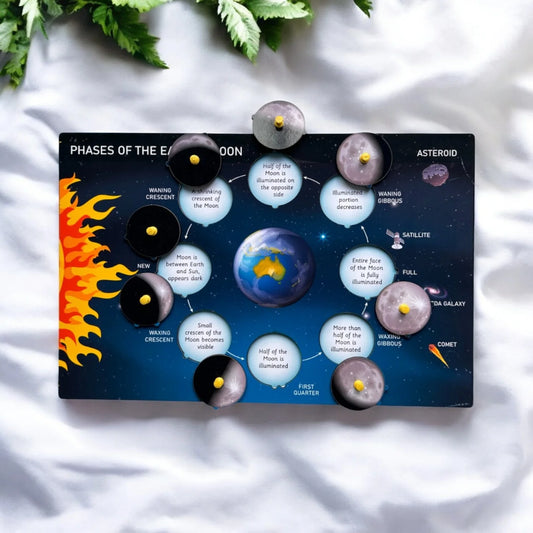 The Phases of the Earth's Moon